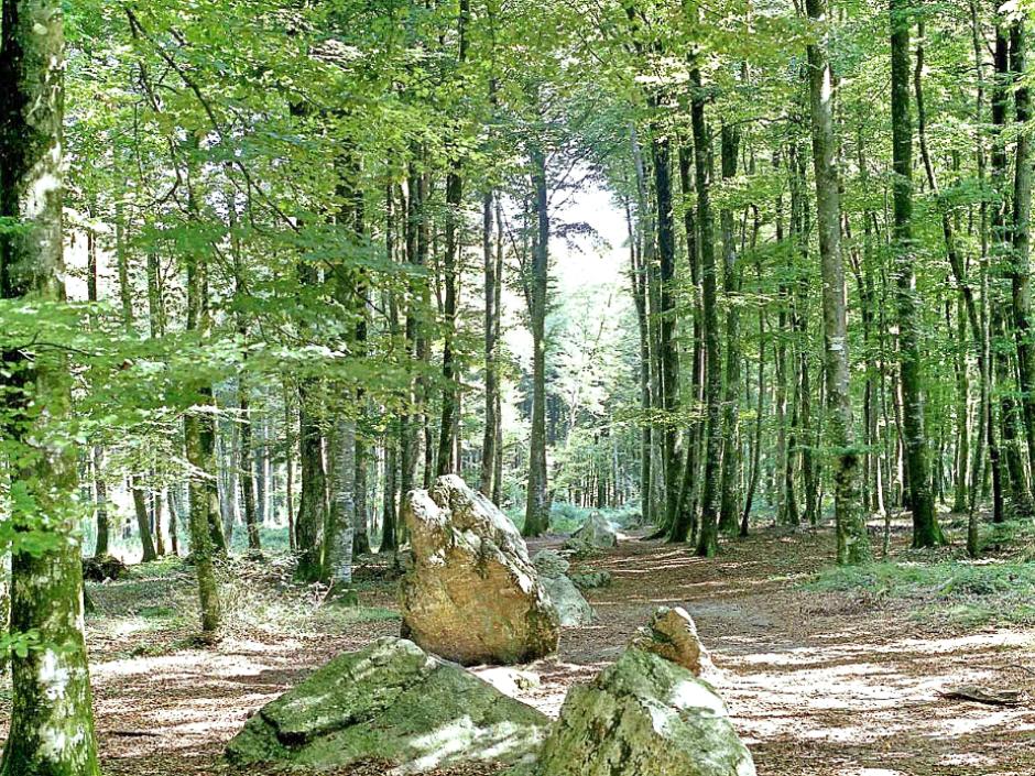 Ac3- vente programme_neuf 
liffre
 1773794915