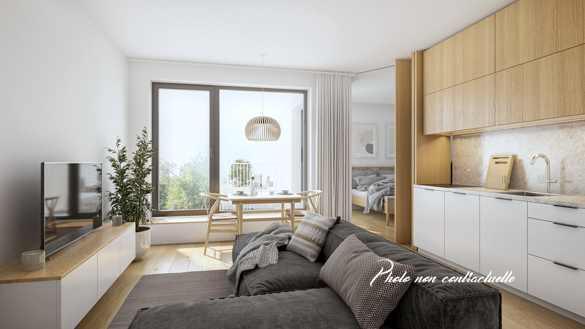Ac3- buy apartment 
la richardais
 1747439272