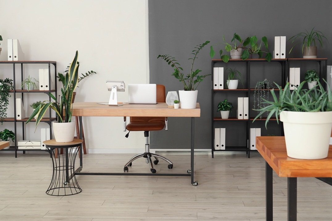 Ac3- buy commercial space 
vannes
 1752277262