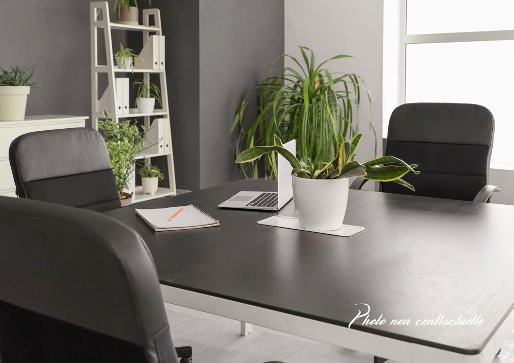 Ac3- buy office 
vitre
 1747785108