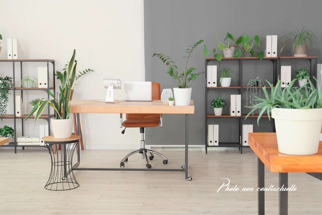 Ac3- buy office 
vitre
 1747785110