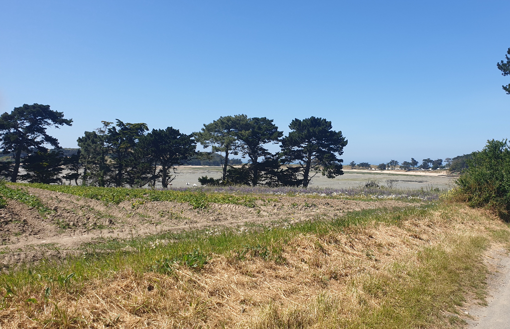 Ac3- vente demeure 
saint malo
 1747438926