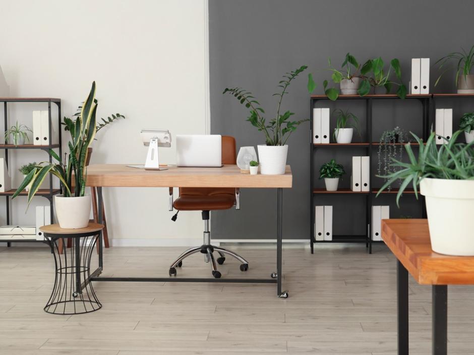 Ac3- buy commercial space 
vannes
 1745625025