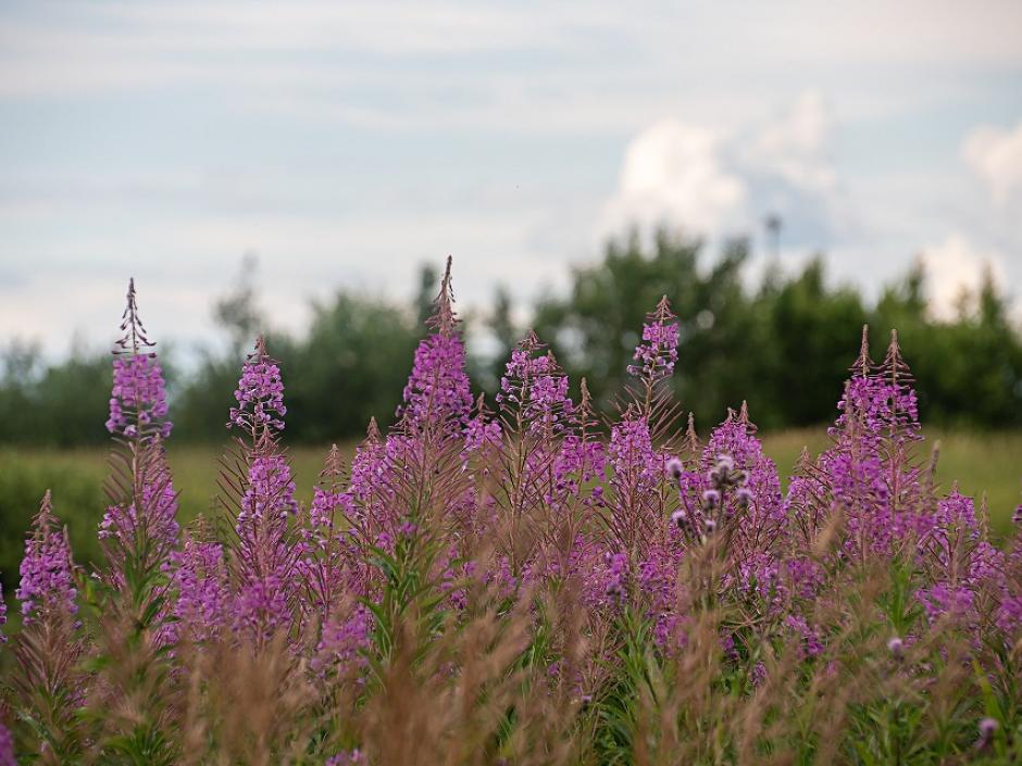 Ac3- buy lot 
saint malo
 1761698564