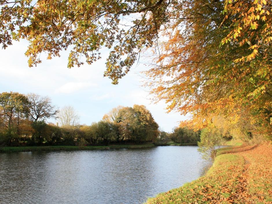 Ac3- buy new build program 
pleurtuit
 1775864900