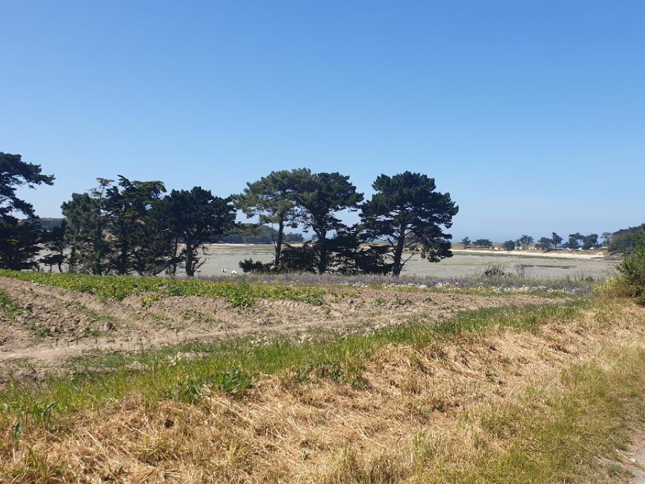 Ac3- vente demeure 
saint malo
 1766191127