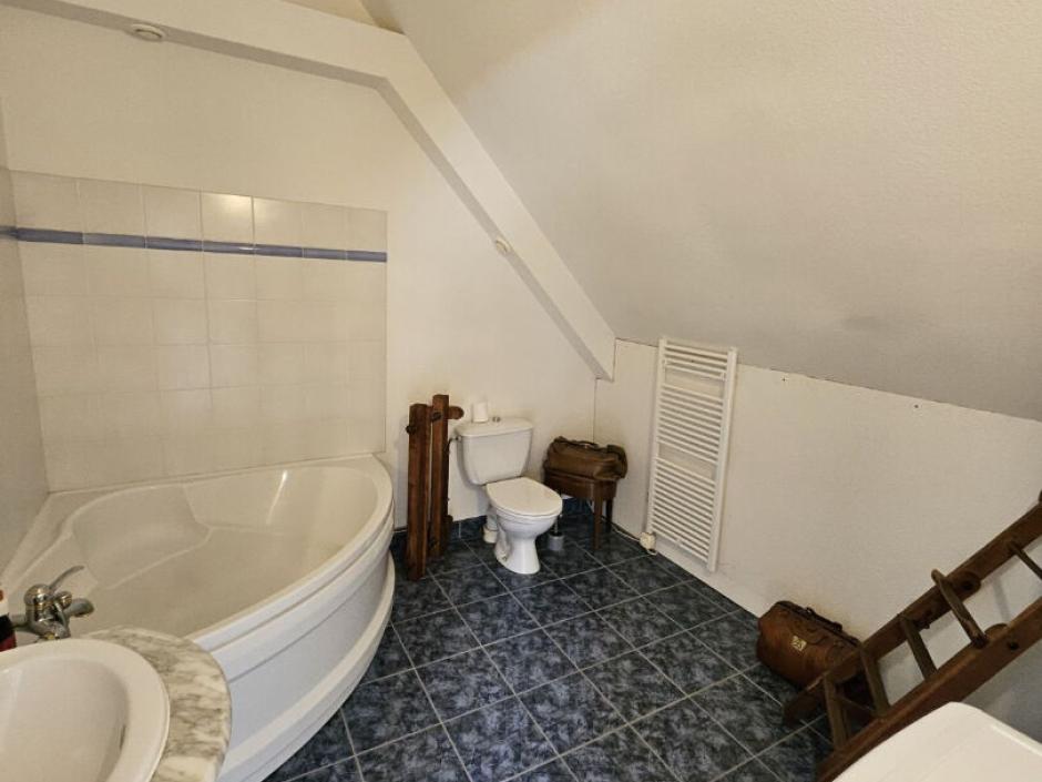 Ac3- vente maison 
le tronchet
 1746575185